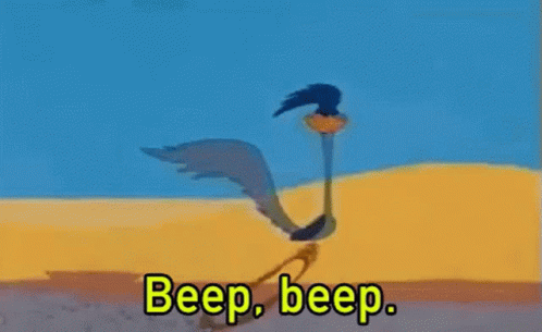 Road Runner Looney Tunes GIF