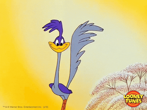 Road Runner Sign Looney Tunes GIF