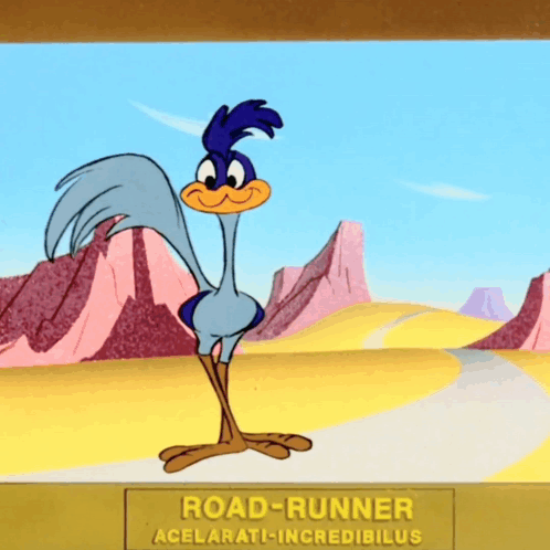 Road Runner Standing on Road