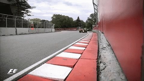 Road Side F1 Verstappen GIF