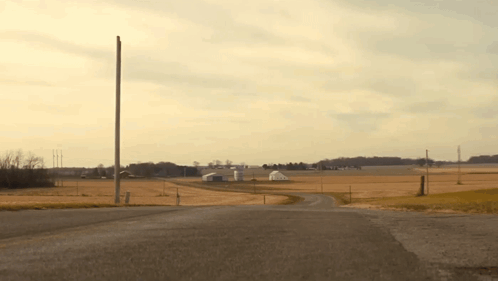 Road Through Field With Telephone Pole