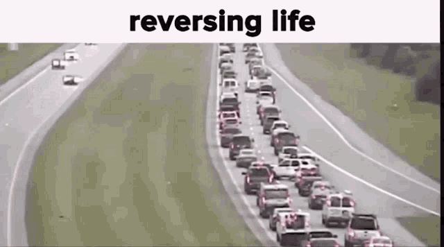 Road Traffic Car Reverse Life GIF