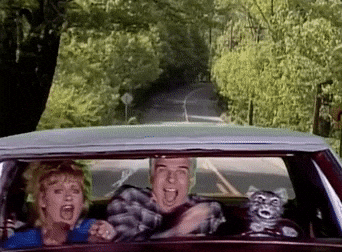 Road Trip Driving Crazy GIF