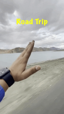 Road Trip Man's Hand Waving GIF
