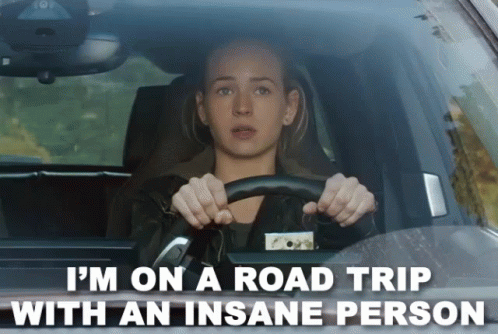 Road Trip With An Insane Person Meme GIF
