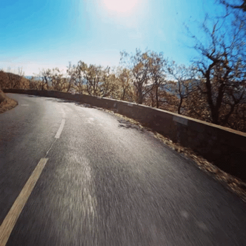 Road With Trees and Blue Sky