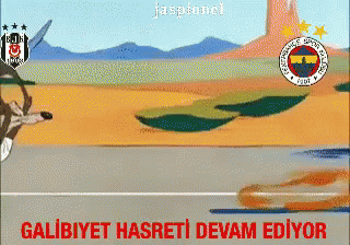 Roadrunner 320 X 224 Gif GIF