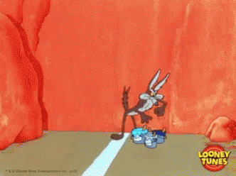 Roadrunner 332 X 248 Gif GIF