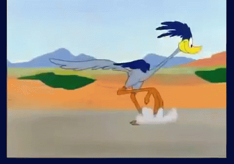 Roadrunner Slow Motion Sprinting GIF