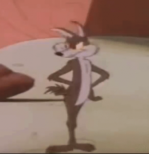 Roadrunner Sprinting Coyote GIF