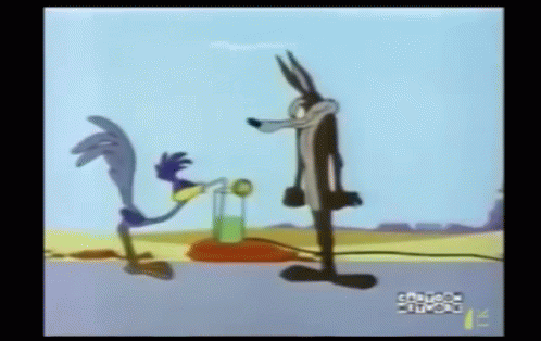 Roadrunner 498 X 314 Gif GIF