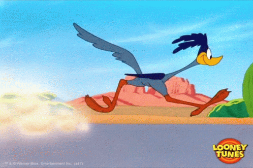 Roadrunner 498 X 331 Gif GIF