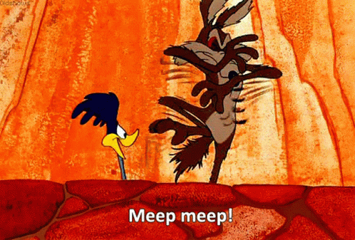 Roadrunner Coyote Arguing Meep GIF