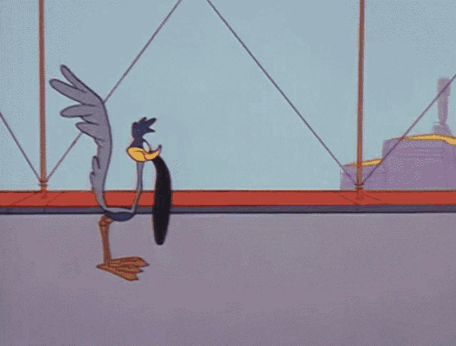 Roadrunner Black Hole GIF