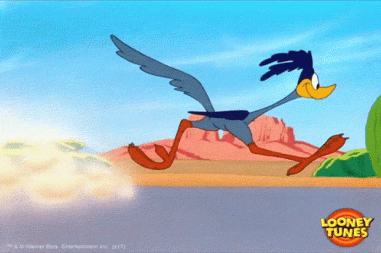 Roadrunner GIF