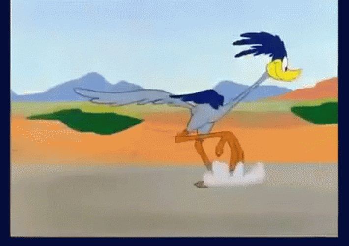 Roadrunner Slow Motion Sprinting GIF