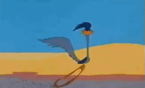 Roadrunner Sprint In Looney Tunes GIF