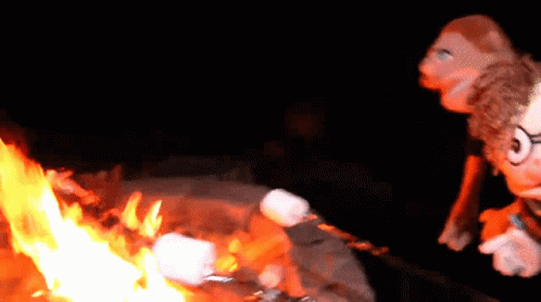 Roasted Marshmallow Campfire Party GIF