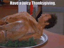 Roasted Turkey Juicy Thanksgiving Meme GIF