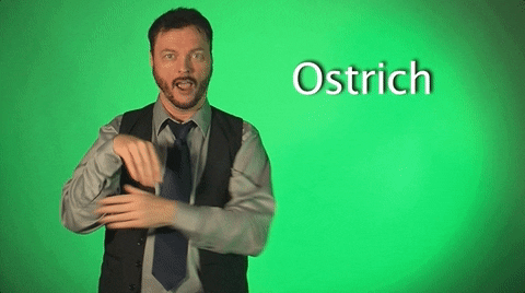 Robert De Mayo Ostrich Hand Gesture GIF
