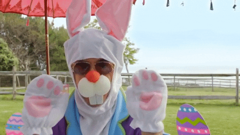 Robert Downey Jr Bunny Hello GIF