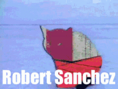 Robert Sanchez Poster With Black Cat
