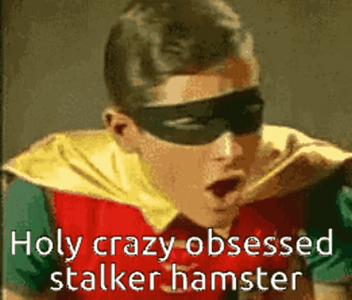 Robin Is Wearing A Mask And Cape And Says Holy Crazy Obsessed Stalker Hamster . GIF