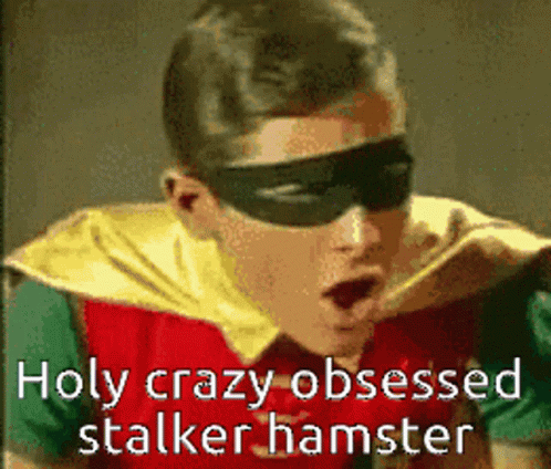 Robin Wearing Mask and Sunglasses Saying Holy Crazy Obsessed Stalker Hamster