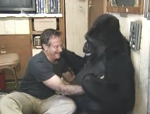 Robin Williams Koko Happy Tears GIF