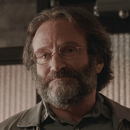 Robin Williams Sean Good Will Hunting GIF
