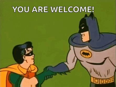 Robin You Are Welcome GIF