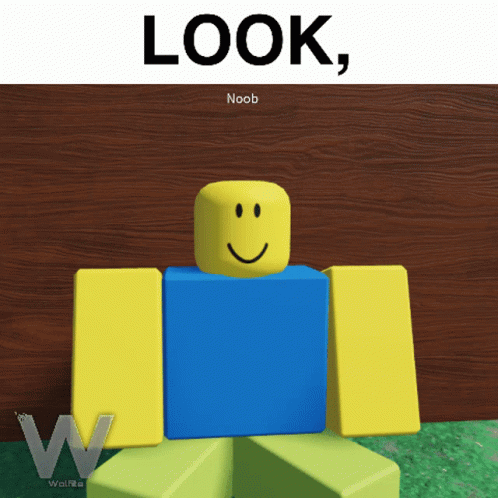 Roblox Character Look Noob
