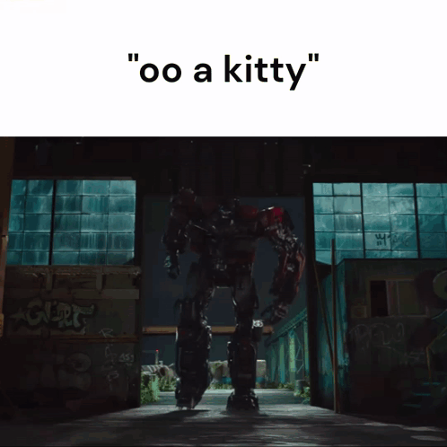 Robot Saying Oo a Kitty