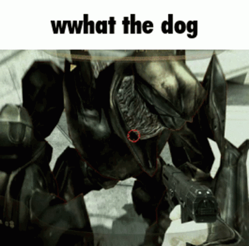 Robot Saying Wwhat The Dog