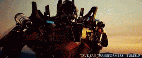 Robot Transformers True Fan
