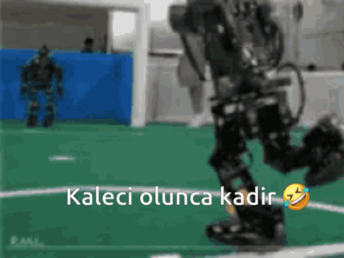 Robot Walking on Green Field Kaleci Ounca Kadir