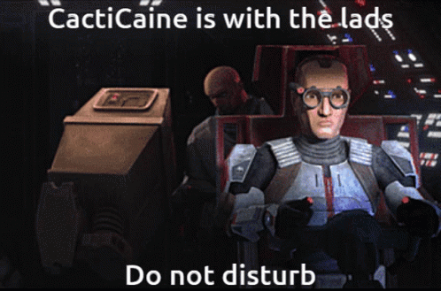 Robot with Cacticaine Do Not Disturb