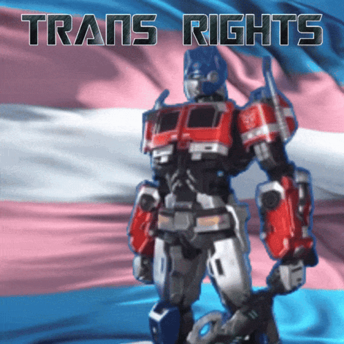 Robot With Trans Rights Text