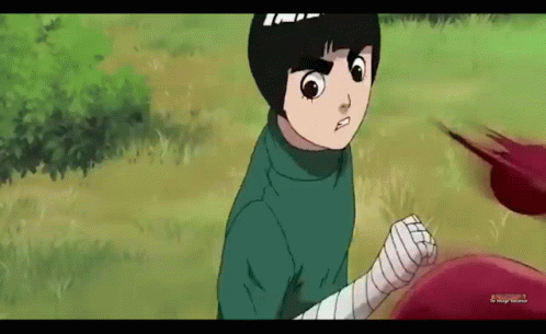 Rock Lee Fighting Kangaroo GIF