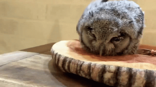 Rock Never Die Hand Horns