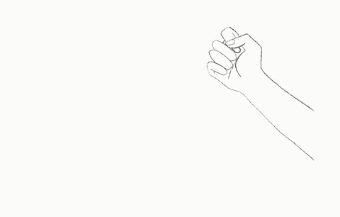 Rock Paper Scissors Beautiful Flowers GIF