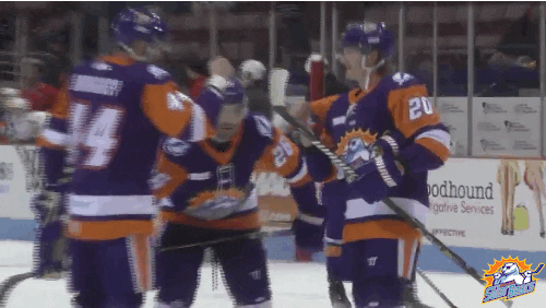 Rock Paper Scissors Orlando Solar Bears GIF