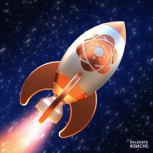 Rocket Delegate Kimchi GIF