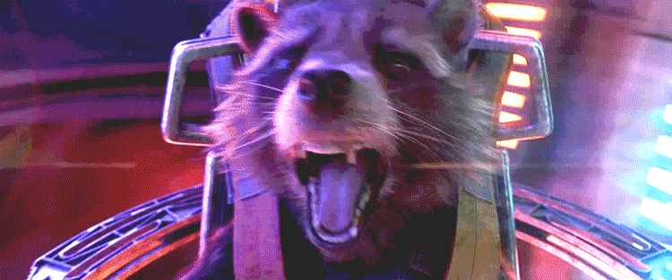 Rocket Is Freaking Out GIF