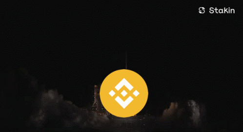Rocket Launched With Staking Logo GIF