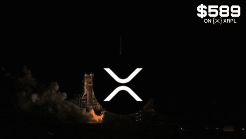 Rocket Launching With $589 Price