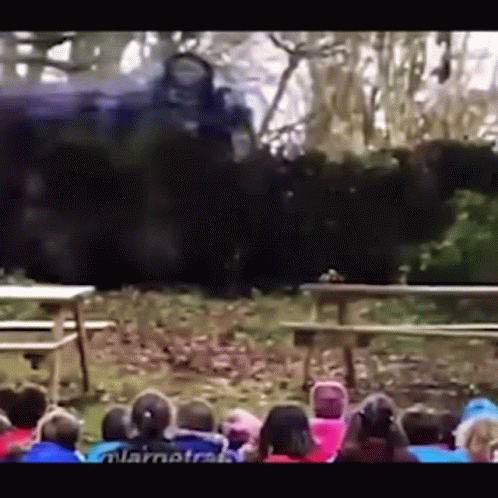 Rocket League Kid Car Crash GIF