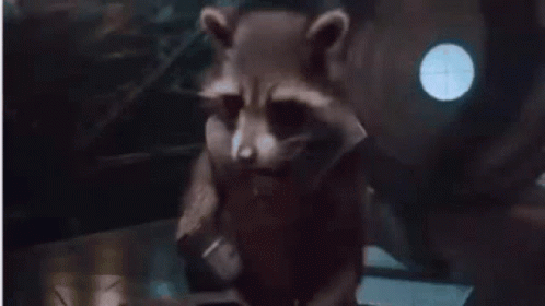 Rocket Raccoon From Guardians Of The Galaxy Is Saying `` You Take The Fun Out Of Life !! '' GIF