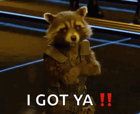 Rocket Raccoon From Guardians Of The Galaxy Is Standing With His Arms Crossed And Says `` I Got Ya !! '' . GIF