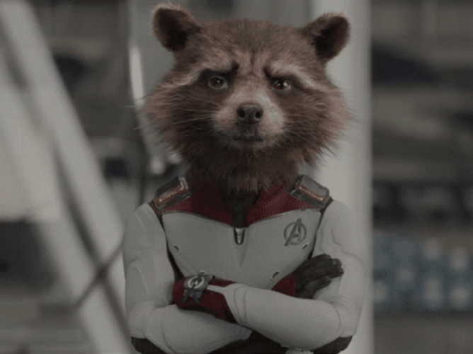 Rocket Racoon Marvels Talking GIF